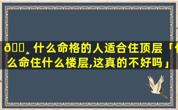 🕸 什么命格的人适合住顶层「什么命住什么楼层,这真的不好吗」